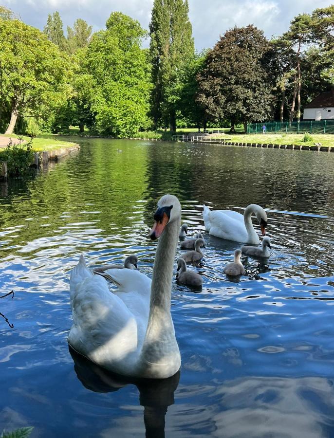 Beddington Park Lodge West วอลลิงตัน ภายนอก รูปภาพ