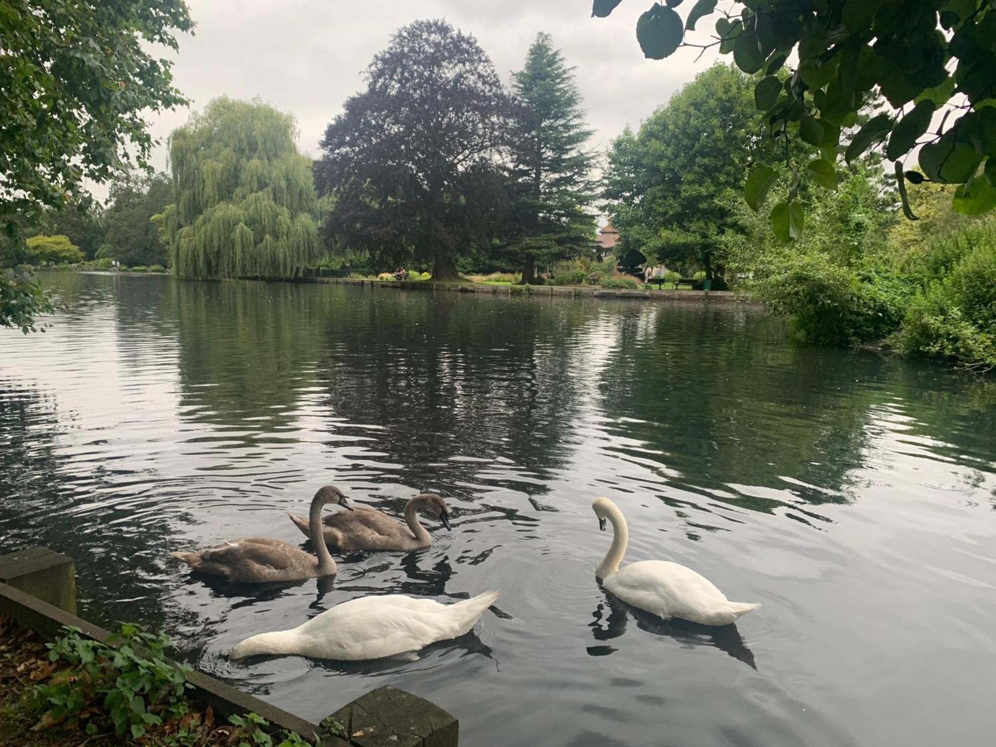 Beddington Park Lodge West วอลลิงตัน ภายนอก รูปภาพ