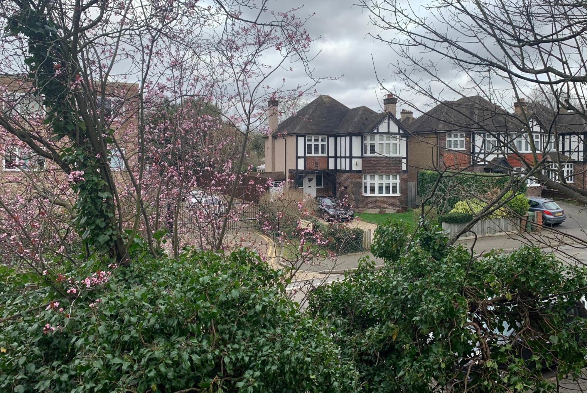 Beddington Park Lodge West วอลลิงตัน ภายนอก รูปภาพ